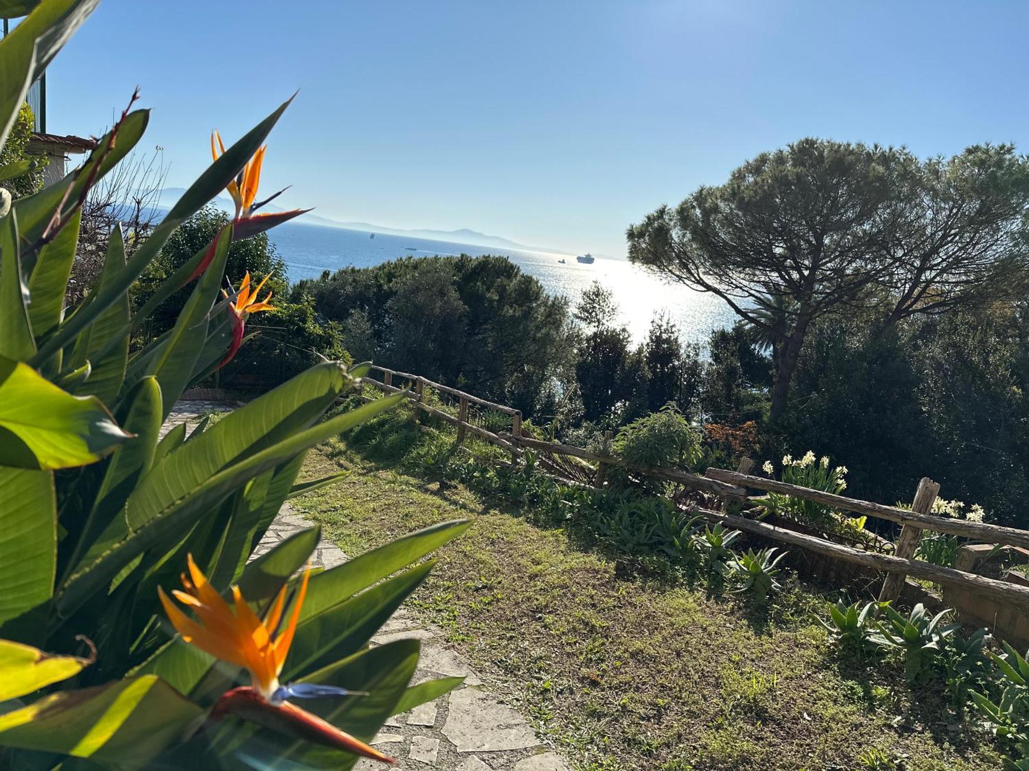 La Casa Di Elena Villa Vietri Eksteriør billede